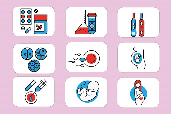 試管嬰兒,昆明試管嬰兒醫(yī)院,試管嬰兒性別