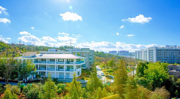 試管嬰兒,試管嬰兒妊娠率,昆明試管嬰兒醫(yī)院