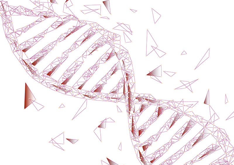 ԇ�ܼ��g(sh��)